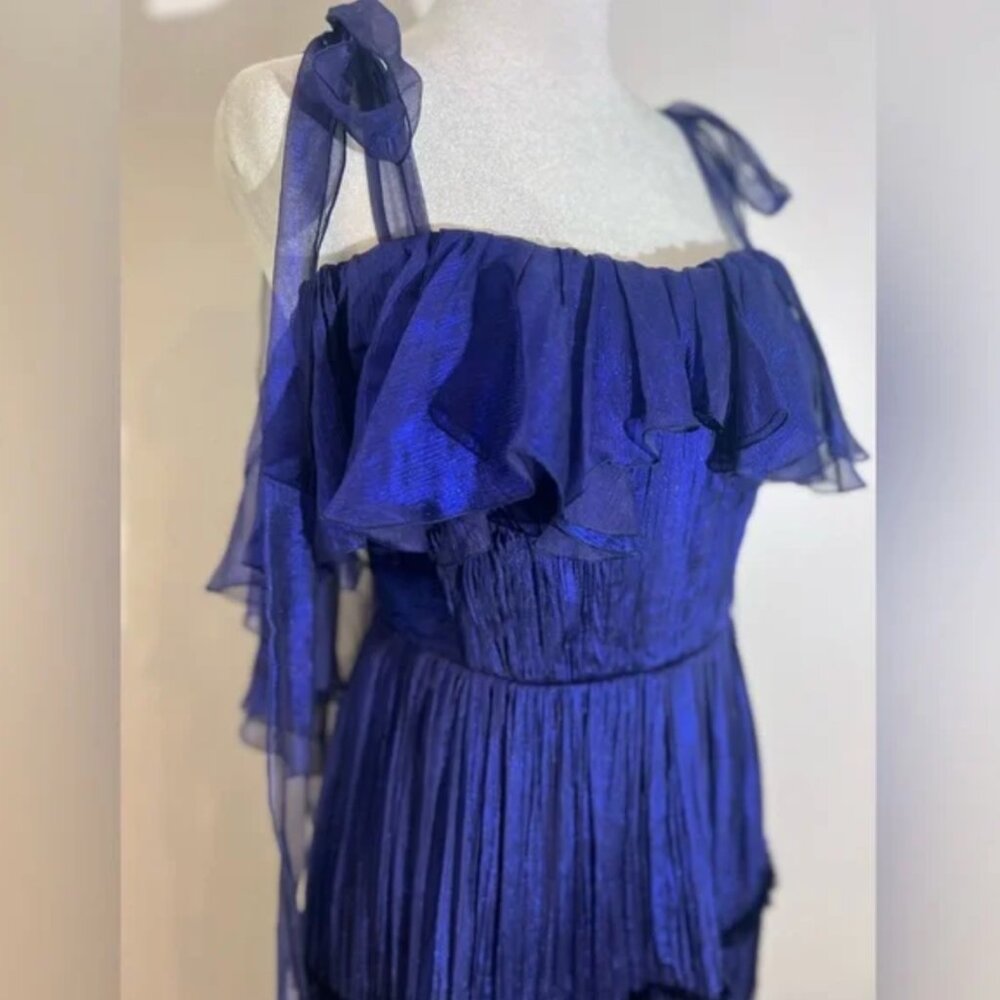 MARIA LUCIA HOHAN Luminous Midnight Blue Gown